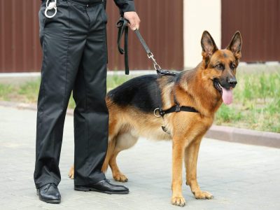 Masterguard Sicherheit Kontrolldienste Frankfurt